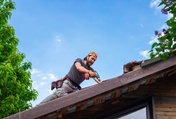 Best Metal Roofing Installation  in Forestbrook, SC