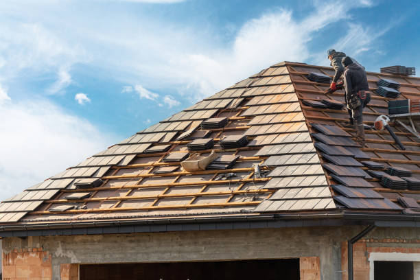 Best Roof Maintenance and Cleaning  in Forestbrook, SC